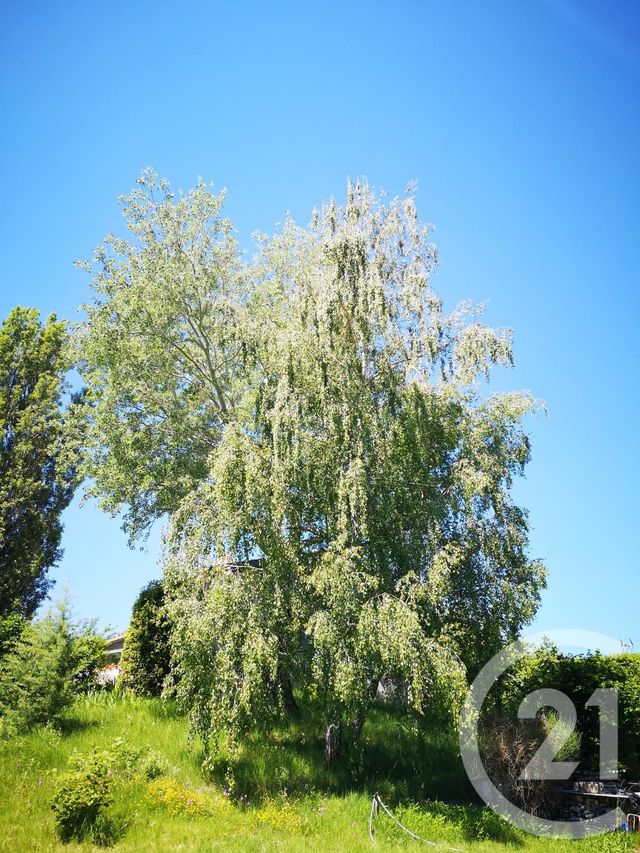 maison à vendre - 6 pièces - 159.13 m2 - PIERRERUE - 04 - PROVENCE-ALPES-COTE-D-AZUR - Century 21 Provence Immobilier maison à vendre - 6 pièces - 159.13 m2 - PIERRERUE - 04 - PROVENCE-ALPES-COTE-D-AZUR - Century 21 Provence Immobilier