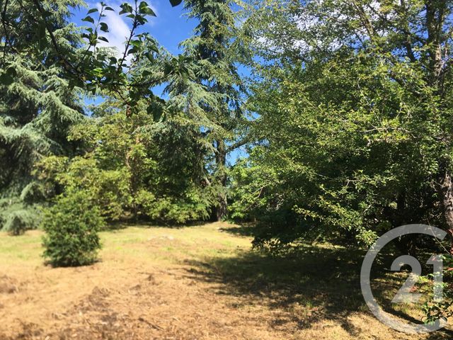 maison à vendre - 4 pièces - 122.0 m2 - SIMIANE LA ROTONDE - 04 - PROVENCE-ALPES-COTE-D-AZUR - Century 21 Provence Immobilier maison à vendre - 4 pièces - 122.0 m2 - SIMIANE LA ROTONDE - 04 - PROVENCE-ALPES-COTE-D-AZUR - Century 21 Provence Immobilier