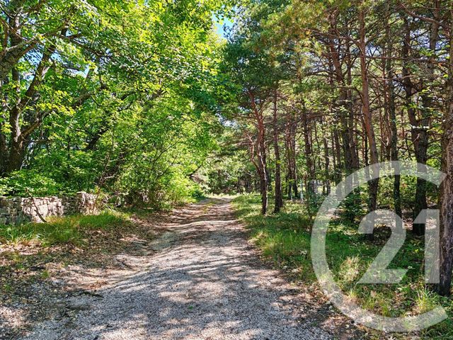 maison à vendre - 5 pièces - 212.2 m2 - FONTIENNE - 04 - PROVENCE-ALPES-COTE-D-AZUR - Century 21 Provence Immobilier