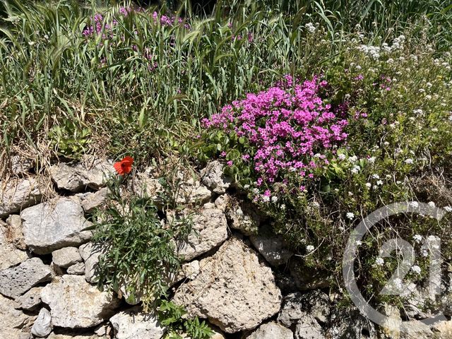 maison à vendre - 4 pièces - 88.93 m2 - REILLANNE - 04 - PROVENCE-ALPES-COTE-D-AZUR - Century 21 Provence Immobilier