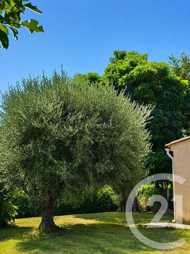 maison à vendre - 4 pièces - 85.0 m2 - PIERRERUE - 04 - PROVENCE-ALPES-COTE-D-AZUR - Century 21 Provence Immobilier
